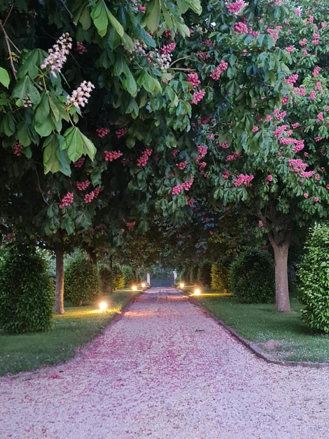 Le Manoir Des Marronniers Hotel Sully  Exterior photo